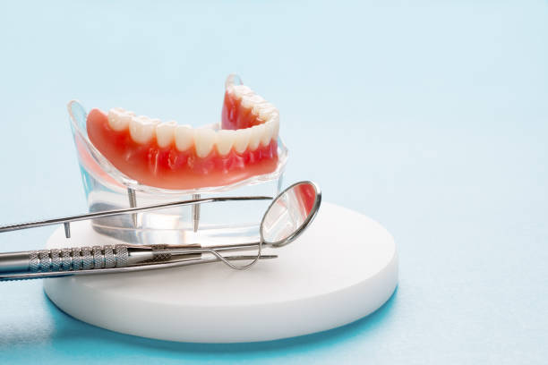  Charlotte Park, FL Dental Services Pros